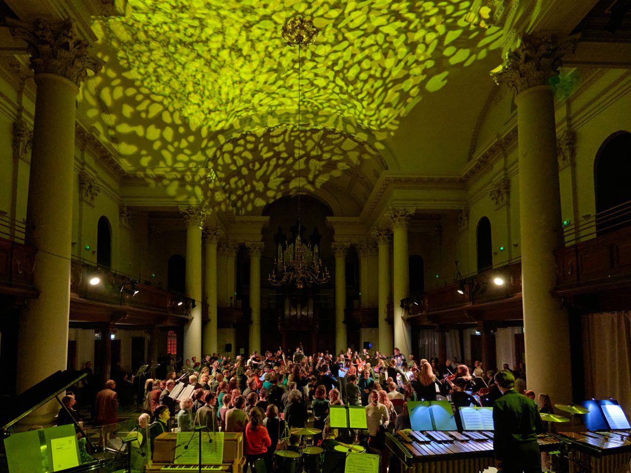The Orchestral Forest, 2024